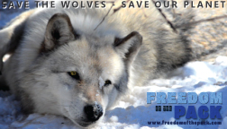 ©2015 Thomas Henry Durant